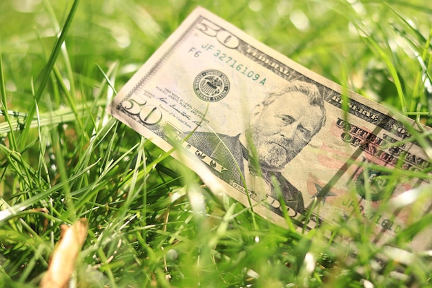 Fifty dollars in grass Throwing money to the wind Lost money