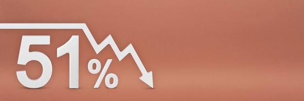 グラフの51％の矢印が下を向いている株式市場の暴落クマ市場のインフレ経済的崩壊株式の崩壊3dバナー赤い背景の51％の割引サイン