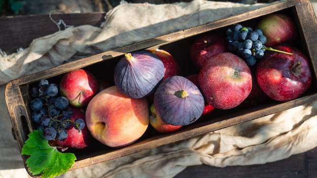 Figs, apples and grapes in a wooden box in the garden