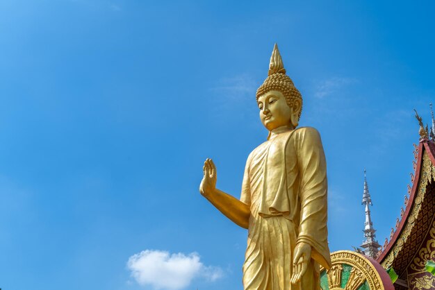 Foto figura di buddha e palazzo buddista a xishuangbannacina