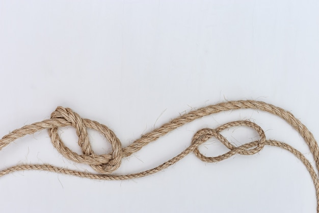 Figure-eight knot or Savoy knot on white