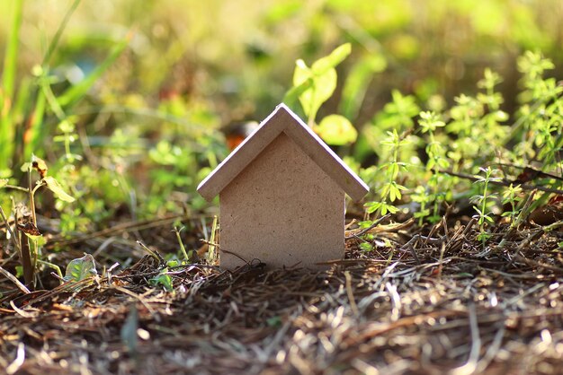 Figure house in nature