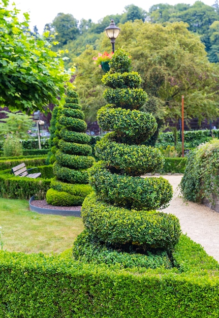 Figure in shape of abstract swirl from the bushes, summer park in Europe. Professional gardening, european green landscape, garden plants decoration