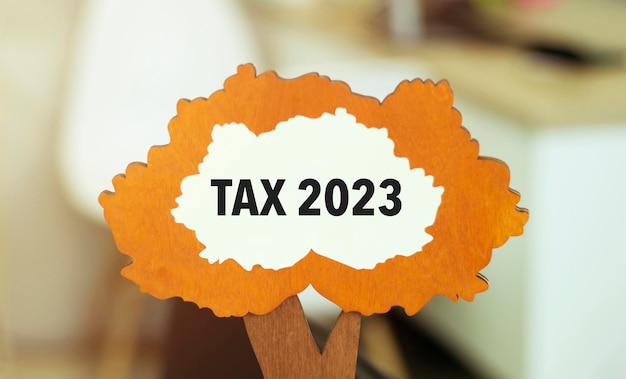 Photo figure of a tree with text tax 2023 inside the foliage business concept