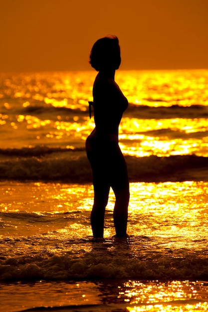 Figure of a woman on background of the waves and\
sunsetxaxa