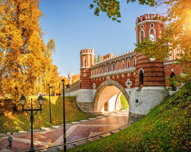 Figured bridge in Tsaritsyno park in Moscow