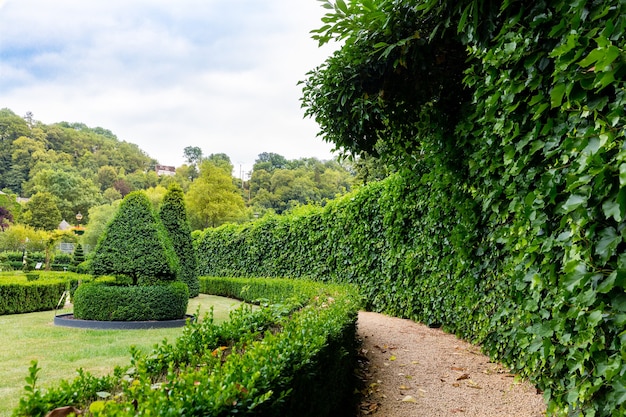 Photo figures in shape of swirl and cone from the bushes, summer park in europe. professional gardening, european green landscape, garden plants decoration