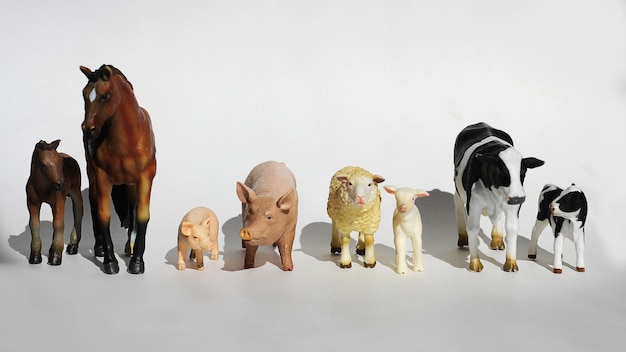 Figurines of animals living on a farm stand in pairs with their children horse sheep pig cow Early development during the game