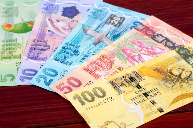 Fiji geld een zakelijke achtergrond