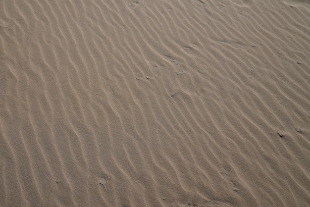 Fijn golfstrandzand in de zomerzon Bruine zandige achtergrond