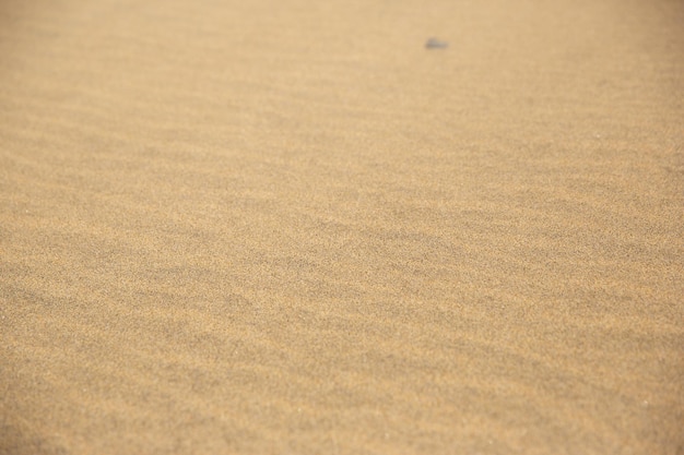 Foto fijn strandzand in de zomerzon zandtextuur zandstrand voor achtergrond bovenaanzicht natuurlijke zandsteen textuur achtergrond