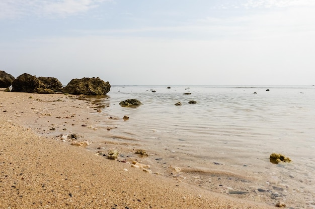fijn zand en koraal rotsen op het strand tijdens eb op vakantie
