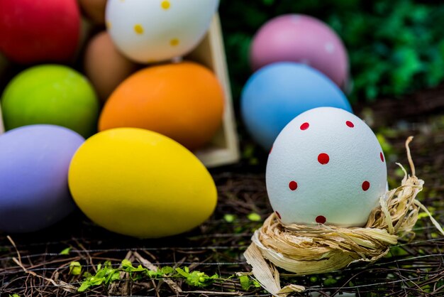 Fijne paasdag, konijntje en ei, christenen wereldwijd vieren feest