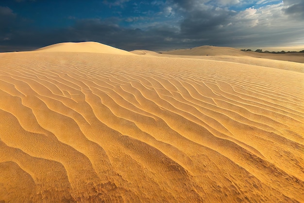 Fijne rimpelingen van zand op het oppervlak van droge woestijnduinen