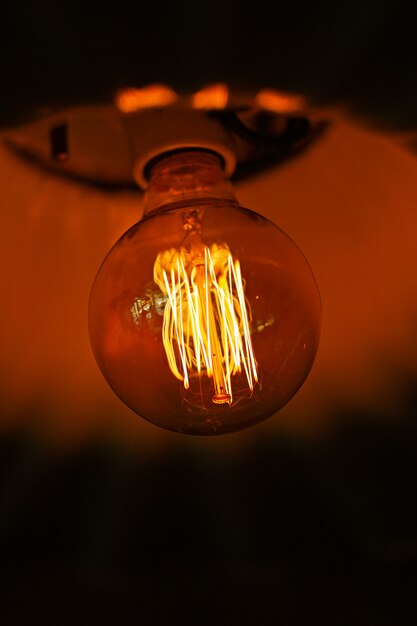 Filament of Round Light Bulb