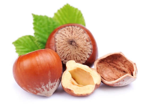 Photo filbert nuts with leaf on white