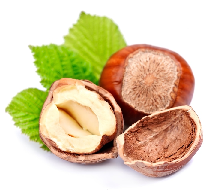 Photo filbert nuts with leaf on white