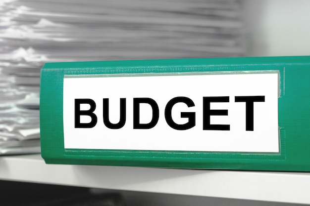 File con i documenti per il budget