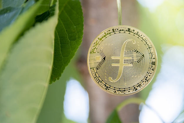 Foto concetto di criptovaluta filecoin concetto di valuta treeborn