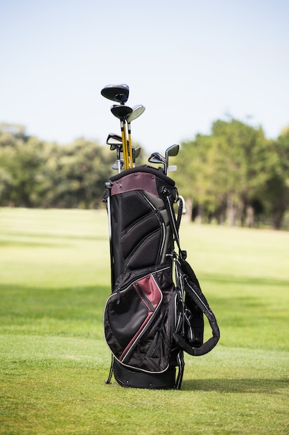 Заполненная сумка для гольфа с клюшкой для гольфа