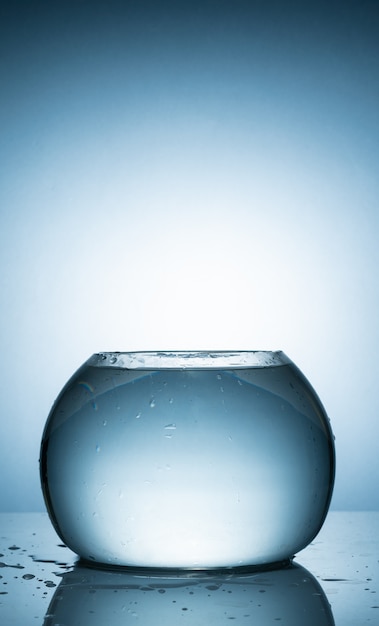 A filled water fish bowl with white background.