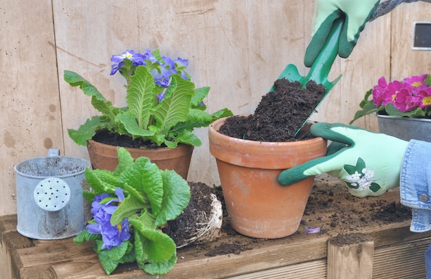 Filling flower pot 