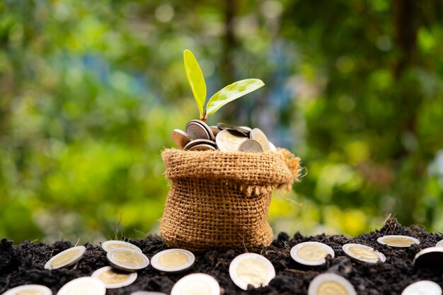 Financial business investment concept A sack of bags filled with coins filled out on the mound