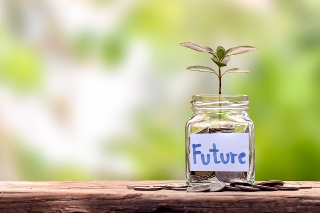 Financiële planning en pensioenideeën een flessenboom planten om geld te besparen op een houten tafel en een wazige natuurlijke groene achtergrond
