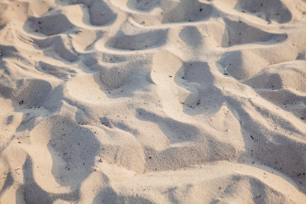 Fine beach sand background