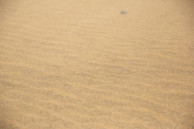 Fine beach sand in the summer sun Sand texture Sandy beach for background Top view Natural sand stone texture background