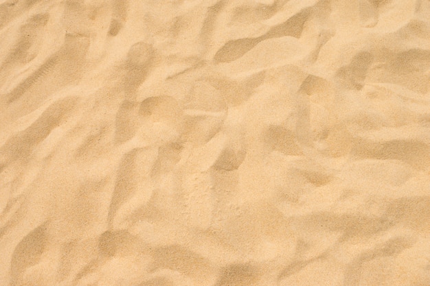 여름 햇살에 좋은 해변 모래