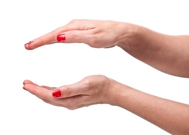 Fine closeup of female hands isolated on white background