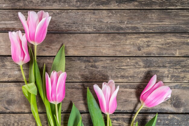 Fine tulip flowers on wooden wall, spring floral wall