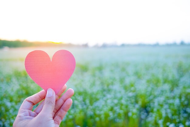 Il dito tiene il cuore rosso con lo sfondo del campo in erba