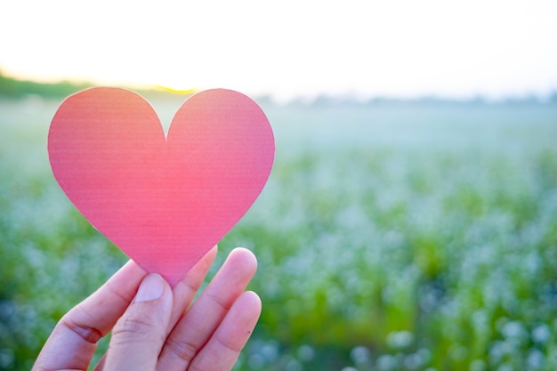 Il dito tiene il cuore rosso con lo sfondo del campo in erba