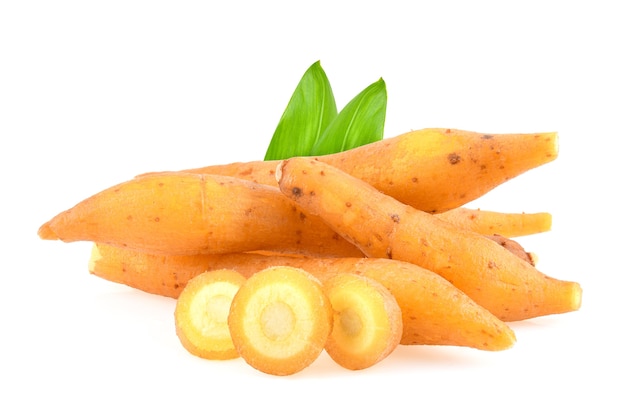 Finger root Thai herb on white background