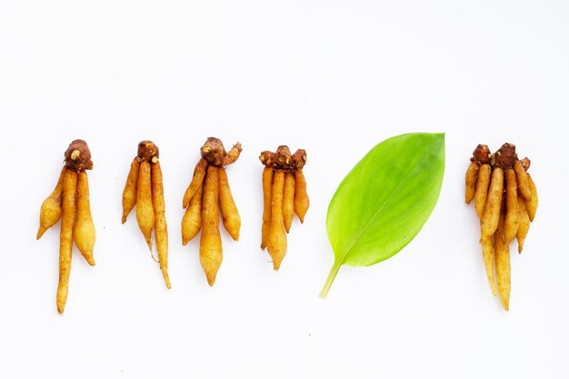 Finger root on a white background