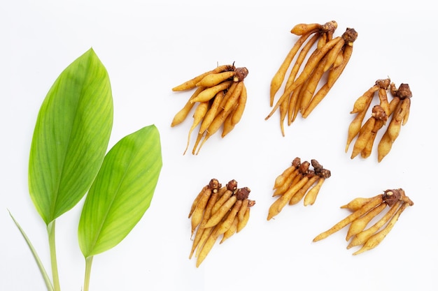 Finger root on a white background