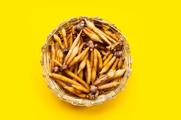 Fingerroot in bamboo basket on yellow background.