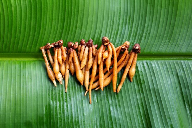 Fingerroot on banana leaf background.