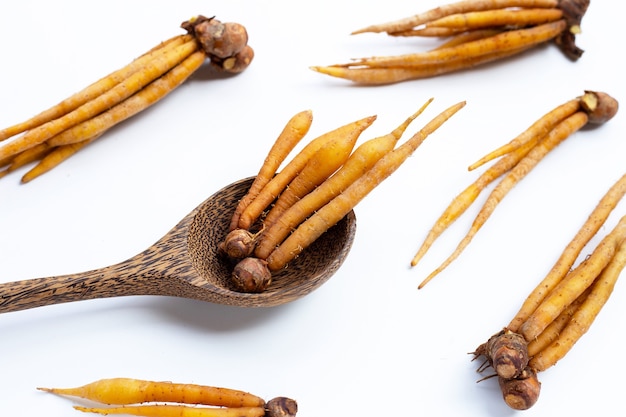 Fingerroot or boesenbergia on white background.