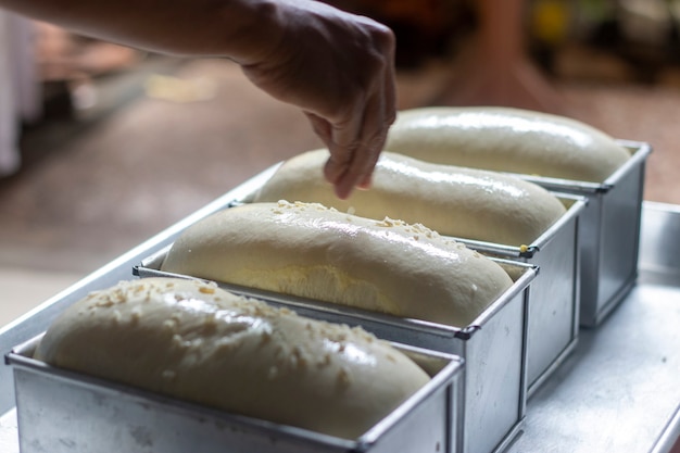 The finished bread dough will go into the oven