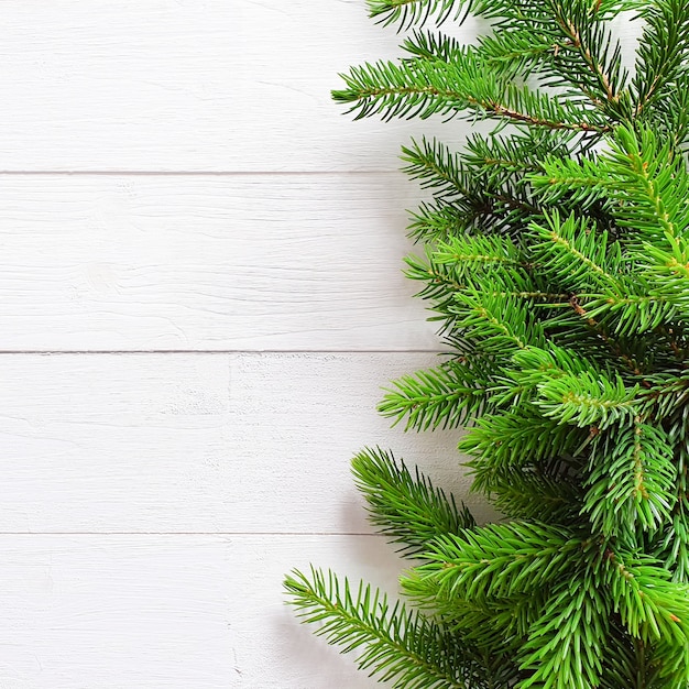 Fir border on white wooden table. Top view