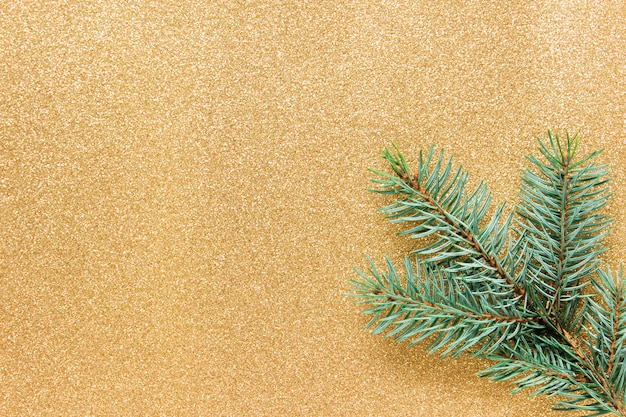 Fir branch on the backgound of yellow glitter