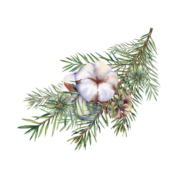 Photo a fir branch with cones and cotton christmas tree coniferous trees pine watercolor illustration holidays christmas and new year