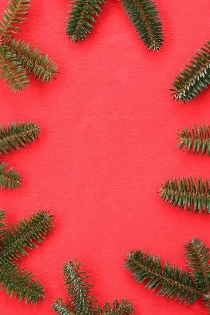 Fir branches on a background of red corrugated paper