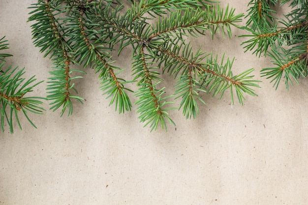 Fir branches border on light rustic surface, good for christmas backdrop