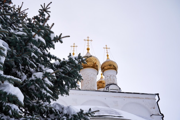 Фото Ягоды, покрытые снегом, на фоне православной русской церкви с золотыми куполами.