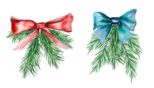 Fir branches watercolor with bow illustration