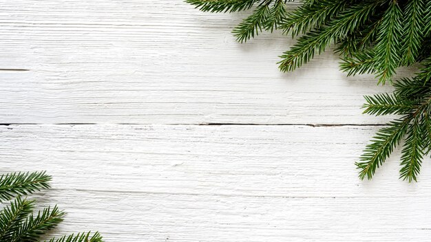 Fir branches on white wooden rustic board. Christmas background.